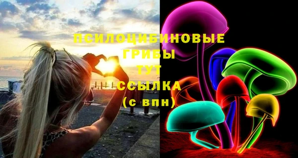 МДПВ Абдулино