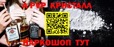 амф Кингисепп