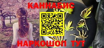 амф Кингисепп