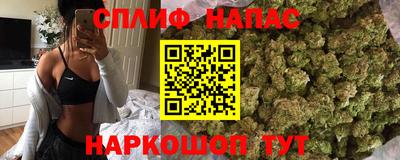 амф Кингисепп