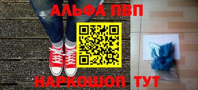 амф Кингисепп