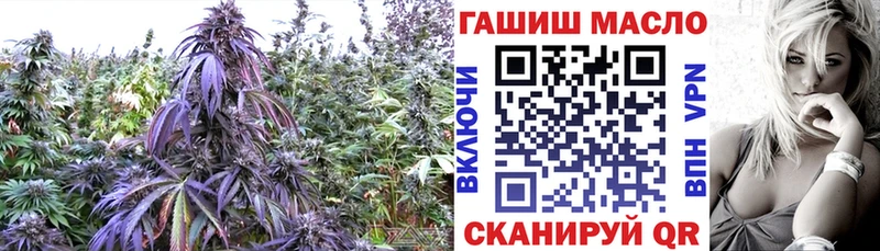 ТГК THC oil Красноармейск