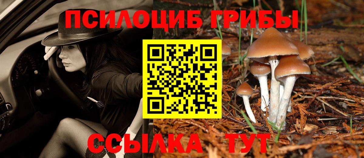 Галлюциногенные грибы Magic Shrooms Красноармейск