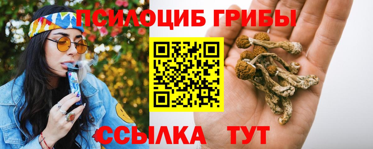 Галлюциногенные грибы прущие грибы  Вход с VPN  Красноармейск  Псилоцибиновые грибы мухоморы 